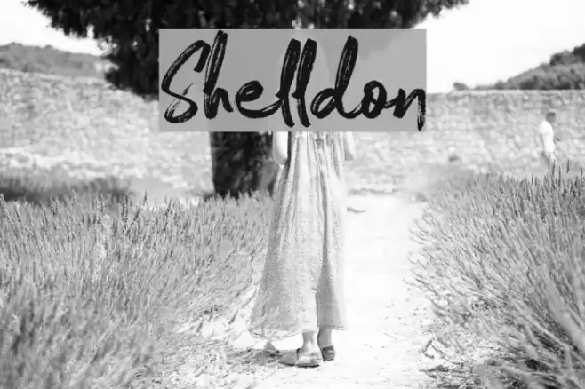Shelldon Font examples