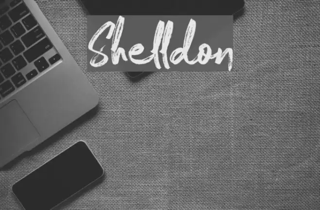 Shelldon Font examples