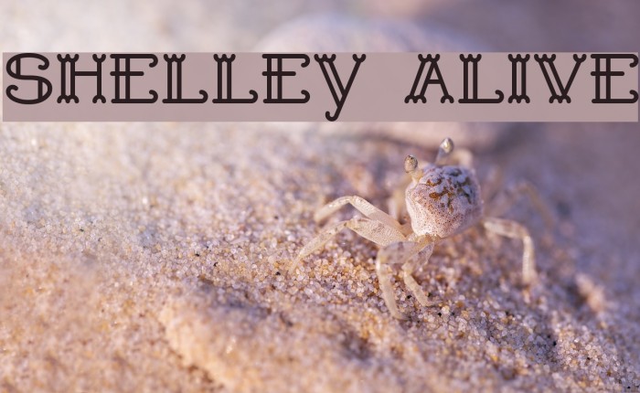 Shelley Alive Example 3