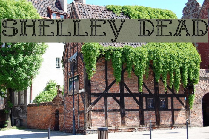 Shelley Dead Example 2