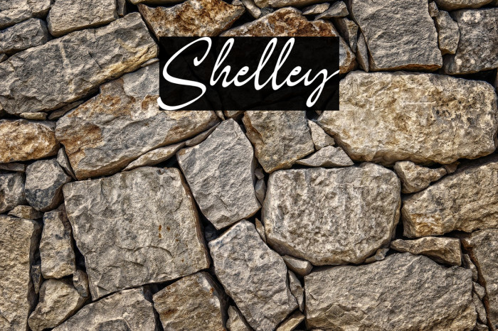 Shelley Example 1