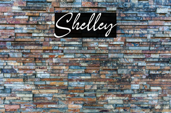 Shelley Example 2