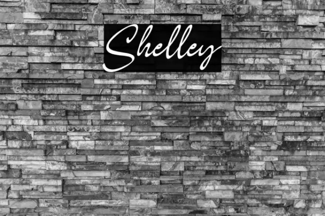 Shelley Font examples
