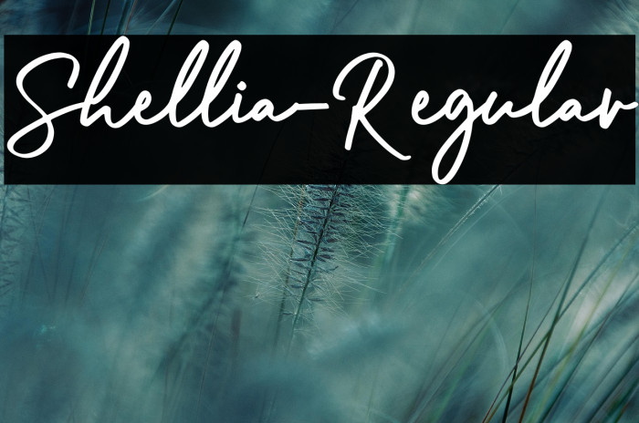 Shellia-Regular Example 1