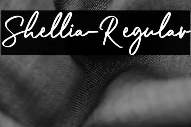 Shellia-Regular Font examples