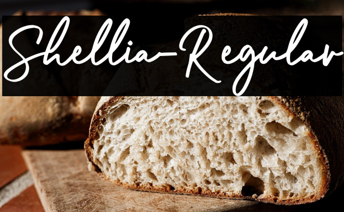 Shellia-Regular Example 3