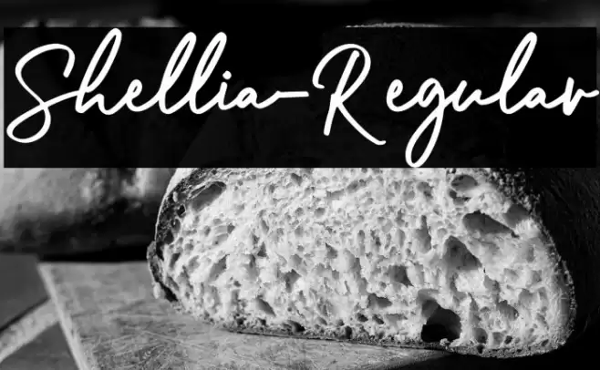 Shellia-Regular Font examples