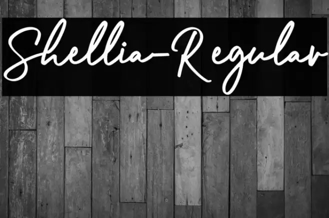 Shellia-Regular Font examples
