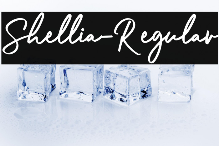 Shellia-Regular Example 2