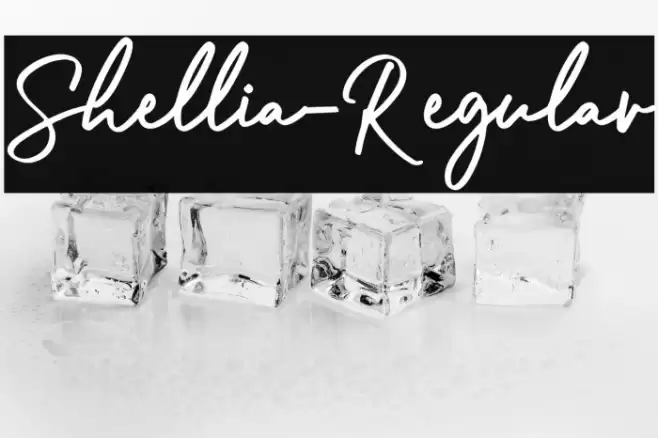 Shellia-Regular Font examples