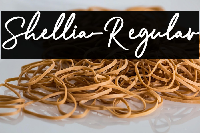 Shellia-Regular Example 3