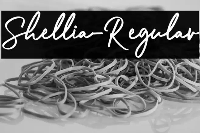 Shellia-Regular Font examples