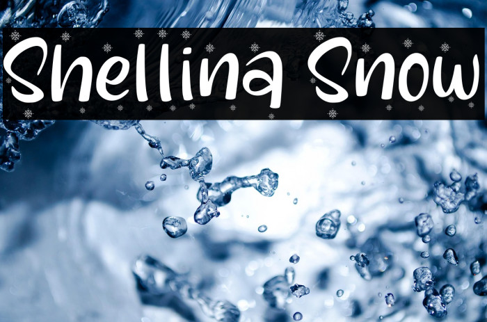 Shellina Snow Example 2