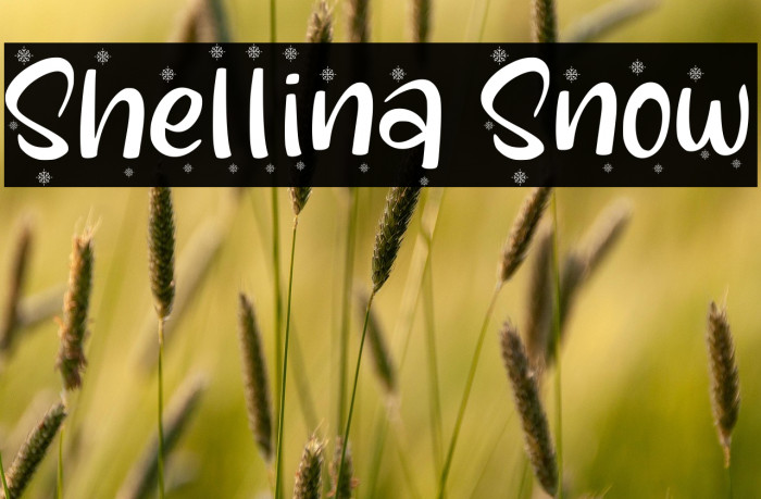 Shellina Snow Example 3