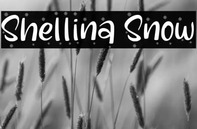 Shellina Snow Font examples