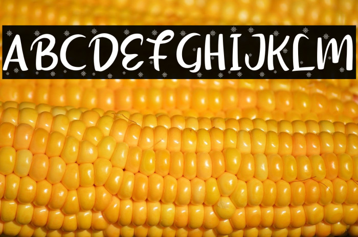 Shellina-Snow Example 1