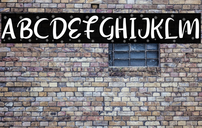 Shellina-Snow Example 2