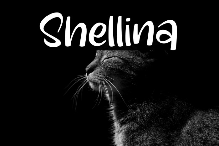 Shellina Example 2