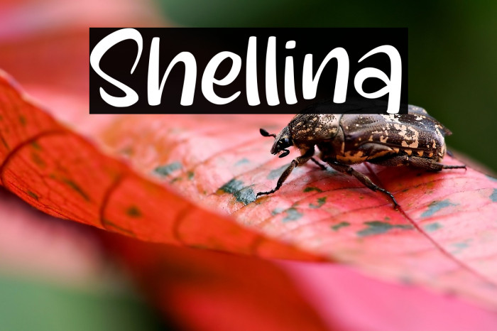Shellina Example 3