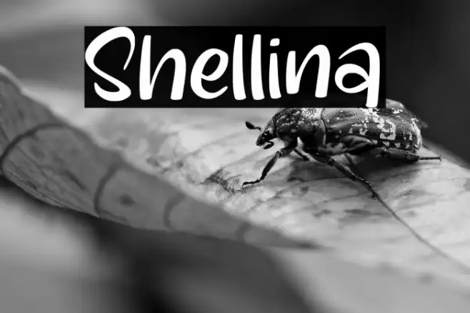Shellina Font examples