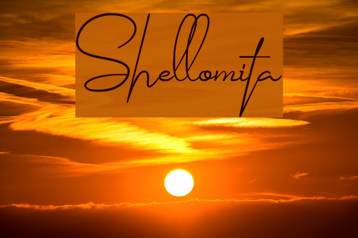 Shellomita Font examples