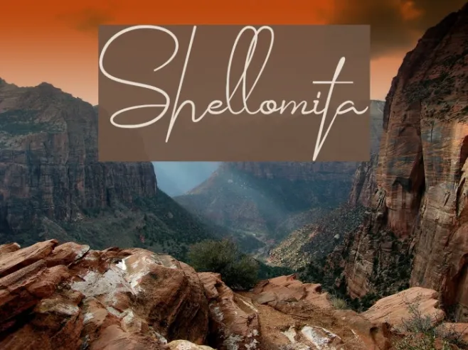 Shellomita Example 2