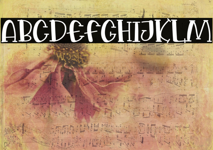Shells And Starfish Font examples