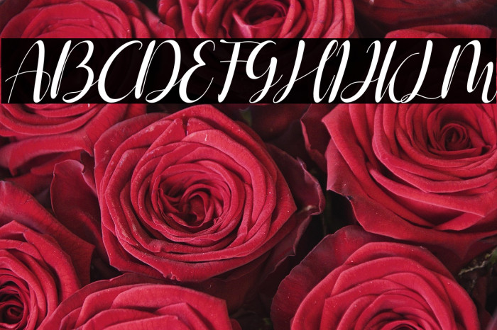 Shelly Italic Example 1