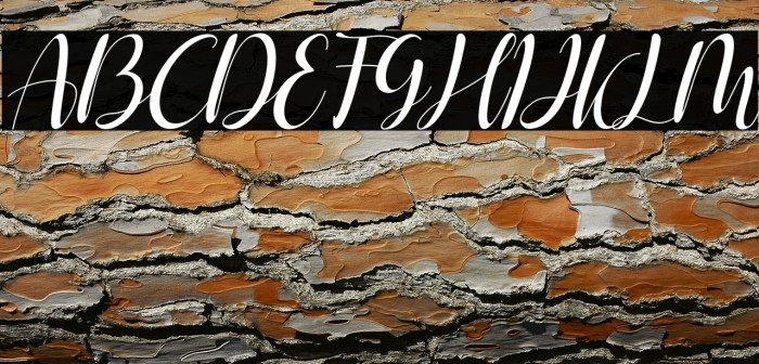 Shelly Italic Example 3