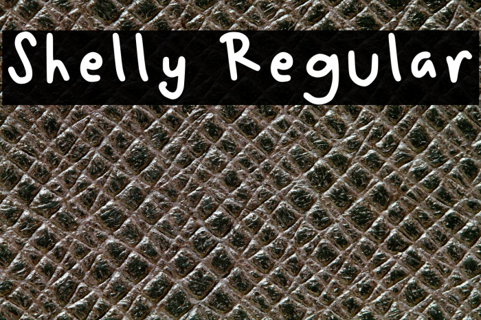 Shelly Regular Example 1