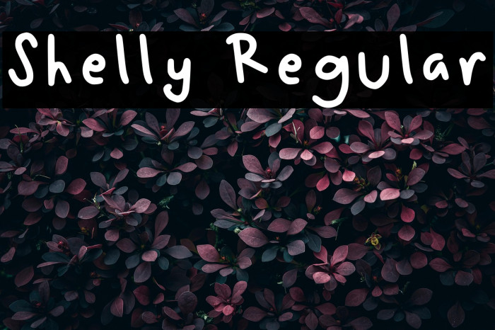 Shelly Regular Example 2