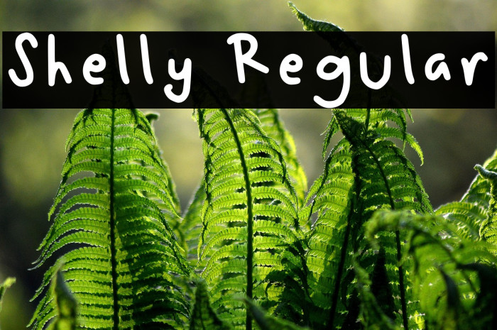 Shelly Regular Example 3