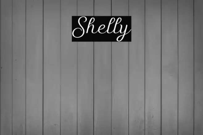 Shelly Font examples