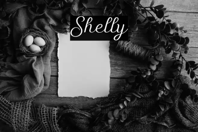 Shelly Font examples