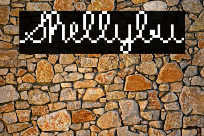 Shellybu Example 1