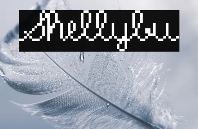 Shellybu Example 2