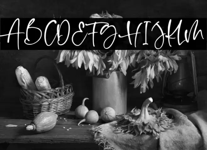 Shelma & Hugie Font examples