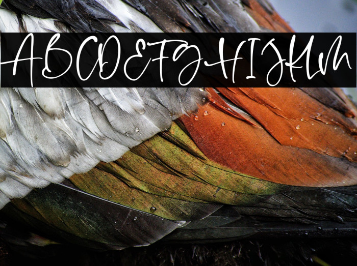 Shelma & Hugie Example 3