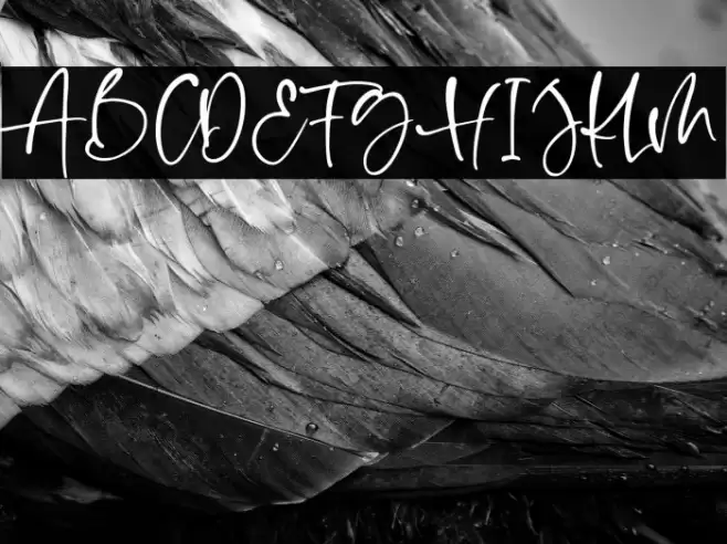 Shelma & Hugie Font examples