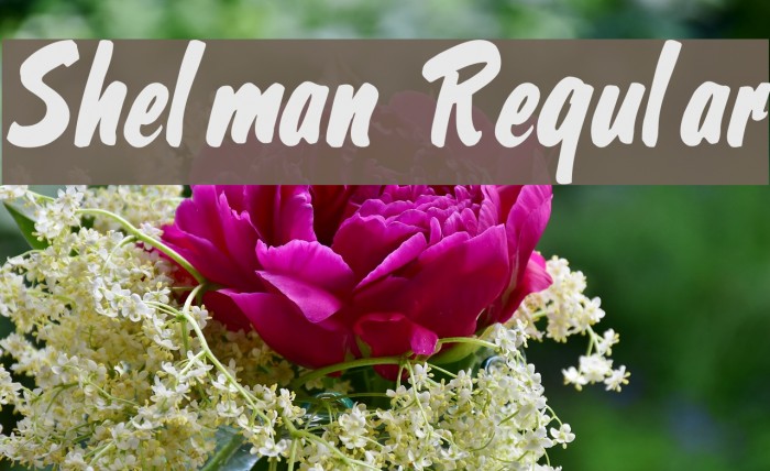 Shelman Regular Font examples