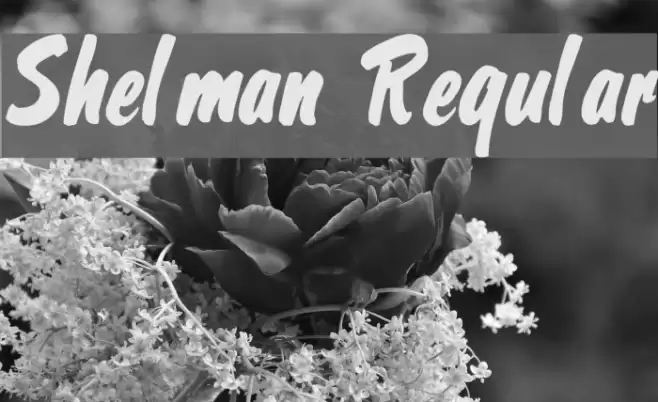 Shelman Regular Font examples