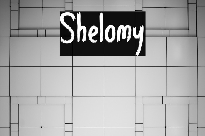 Shelomy Example 1