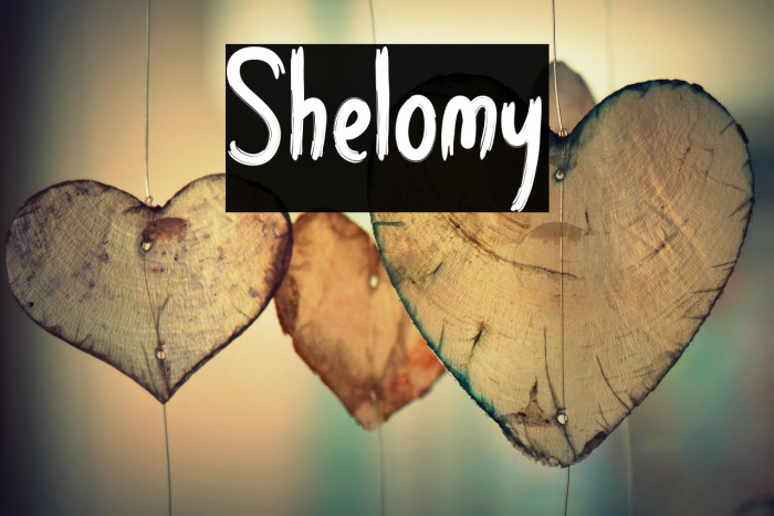 Shelomy Example 2