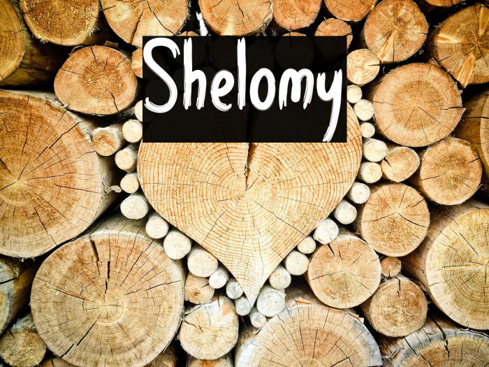 Shelomy Example 3