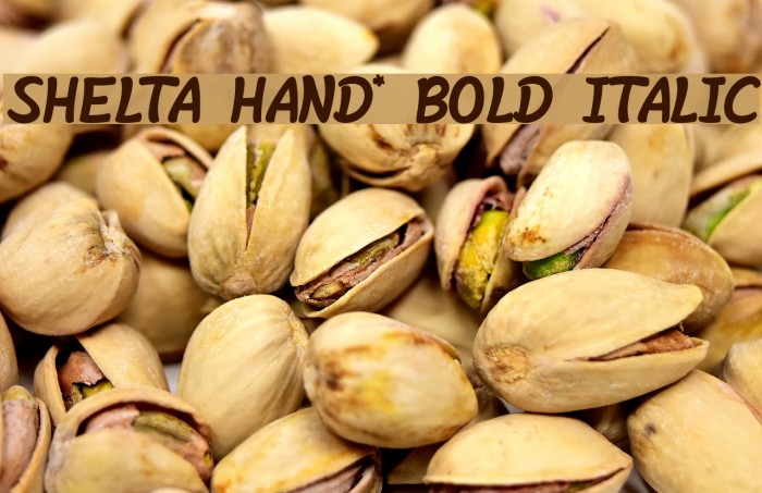 Shelta Hand* Bold Italic Example 2