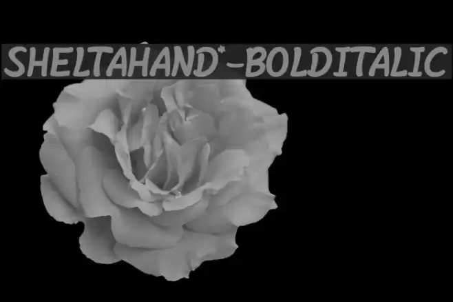 SheltaHand*-BoldItalic Font examples