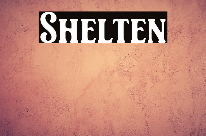 Shelten Example 1