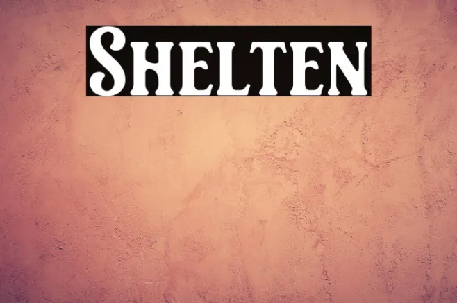 Shelten Example 1