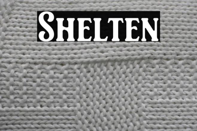 Shelten Example 2