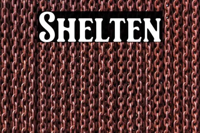 Shelten Example 3